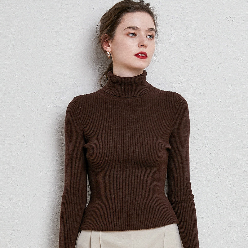 Turtleneck Women Sweater  for Autumn And Winter